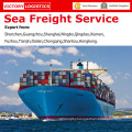 Professional Sea Freight Service/Sea Freight Forwarder Service From China to Worldwide (Sea Freight Service)